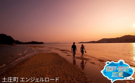 旅行券 アート島めぐり 香川県 観光 旅行券[2日間]