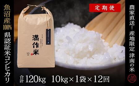 【令和8年産 先行予約】【12ヶ月定期便】10kg(10kg×1袋) 県認証魚沼産コシヒカリ |津南町 コシヒカリ 定期便