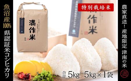 【令和8年産】県認証米魚沼産コシヒカリ 5kg(5kg×1袋) 産地限定！農家直送 |津南町 魚沼産 コシヒカリ