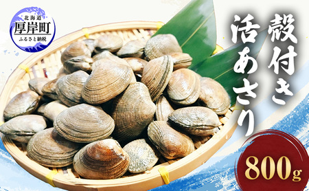 北海道 厚岸産 砂出し済み 活殻付き あさり 800g 新鮮 美味しい アサリ 貝 海鮮 北海道産 魚介 冷蔵