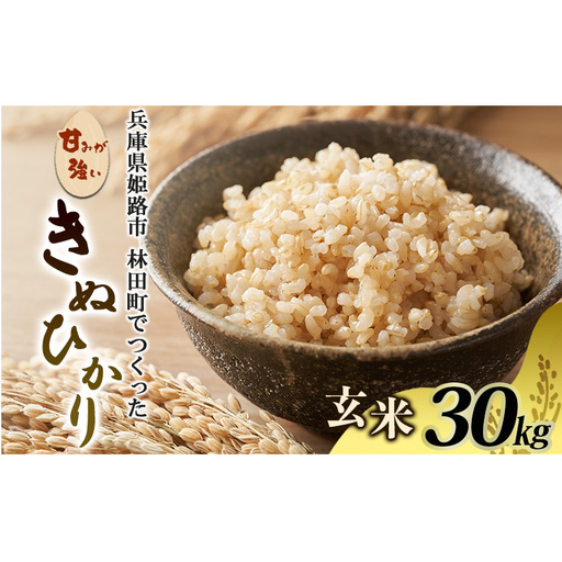きぬひかり玄米 兵庫県産 令和7年産きぬひかり【30kg】