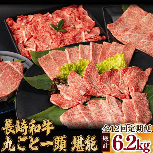 【全12回定期便】長崎和牛丸ごと一頭 堪能！ 総計6.2kg以上 サーロイン モモ イチボ シャトーブリアン 焼肉 ステーキ 長崎和牛 希少部位 【夢ファームシュシュ】 [WF15]
