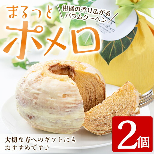 【数量限定】バウムクーヘン まるっとポメロ 2個セット 鹿児島県産サワーポメロ バウムクーヘン【00-014-07】