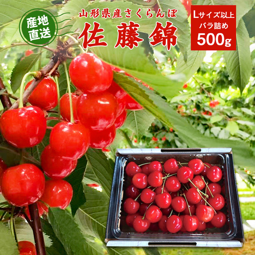 [先行予約]令和9年産 山形県産 さくらんぼ 佐藤錦 500g Lサイズ以上 秀品 [2027年5月下旬頃から6月中旬頃発送予定]※ 配送不可 沖縄・離島