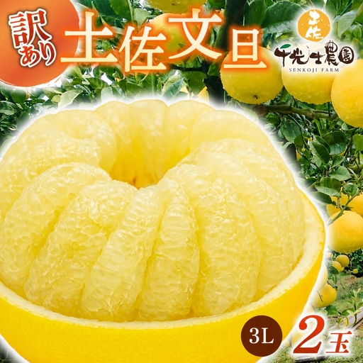 土佐文旦 3Lサイズ×2玉[文旦]