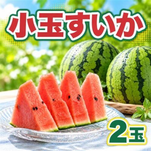 小玉スイカ 2玉入り(益城町)[配送不可地域:離島]