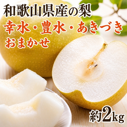 【2026年度発送】和歌山県産の梨約2kg(品種おまかせ)【2026年8月下旬～2026年9月下旬頃に順次発送予定】【tec925C】