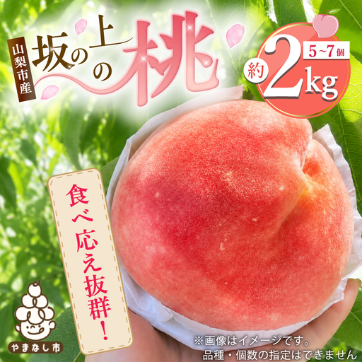 2026年発送【旬の桃 約2kg 5～7玉】 坂の上の桃 硬くて甘い! 食べ応え抜群!【配送不可地域：離島】【1264617】