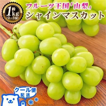 2026年発送 山梨県産 シャインマスカット 約1kg(2～3房) 山梨が誇る人気果物 熟練農家厳選【配送不可地域：離島・沖縄県】【1272524】