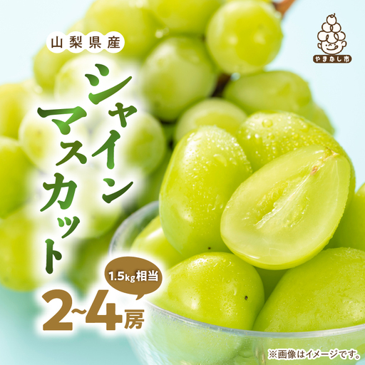 厳選 池田青果のシャインマスカット2房〜4房(1.5kg相当) ふるさと納税[配送不可地域:離島・沖縄県]