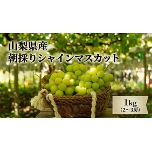 【2027年発送　先行受付】農家直送のシャインマスカット1kg【配送不可地域：離島】【1330439】