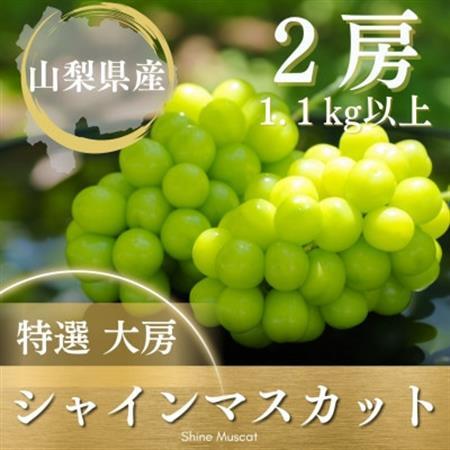 【2026年発送】シャインマスカット 2房 1.1kg以上 山梨県 山梨市産【配送不可地域：離島】【1364649】