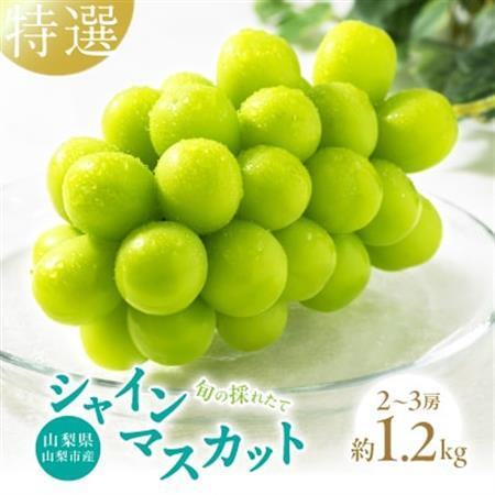 【2026年発送】山梨県山梨市産　特選　旬の採れたてシャインマスカット約1.2kg　2～3房【配送不可地域：離島】【1365848】