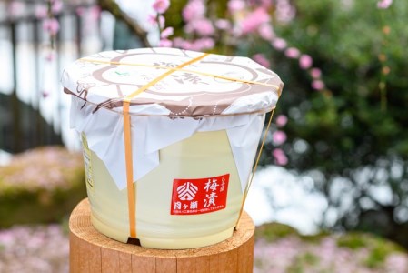 [梅干し] 月ヶ瀬梅渓名産 天然しそ梅漬 3kg 20-045