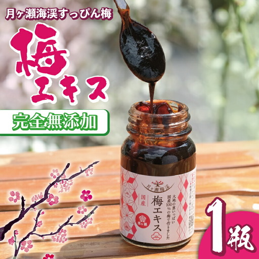 【梅エキス】65g 月ヶ瀬梅渓名産 梅 I-247