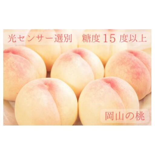 樹熟し 白桃 2kg 糖度15度以上 【極甘】 _S117