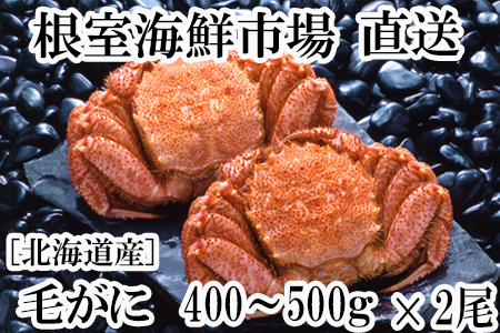 根室海鮮市場＜直送＞ボイル毛がに400～500g×2尾 A-28217