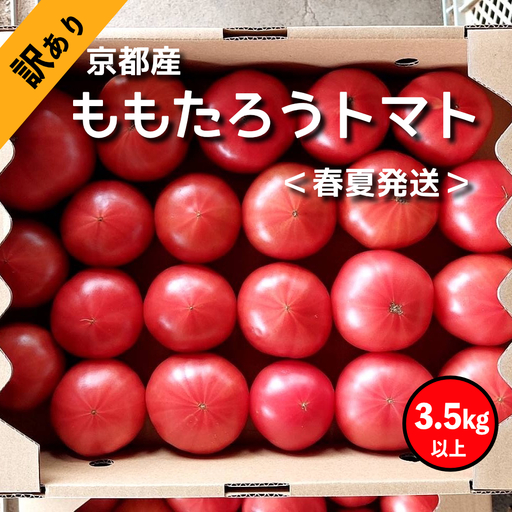 【トマト】訳ありももたろうトマト 3.5kg tomato とまと トマト 先行予約 2027年