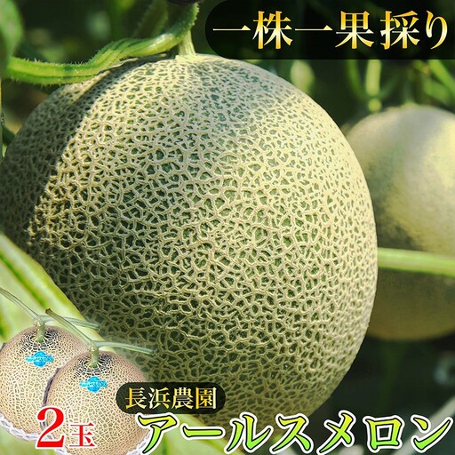 メロン／果物【数量限定50】アールスメロン（ネットメロン） 2玉（2026年7月上旬～発送）メロン・果物・フルーツ
