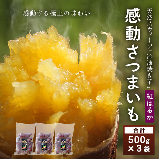 [冷凍焼芋]感動さつまいも 500g×3パック 熟成紅はるか FR-503 | サツマイモ 焼き芋 熟成芋 長期熟成 冷凍 スイーツ お菓子 甘い お中元 お歳暮 ギフト プレゼント 保存料不使用 鹿児島県 南大隅町 株式会社フォレスト