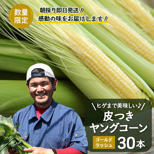【数量限定】 【2027年5月先行予約】ヒゲまで美味しい！「皮つき ヤングコーン 約30本」 FR-520 ｜2027年 先行予約 限定 レシピ付き ゴールドラッシュ ベビーコーン 朝採れ グリル 天ぷら 味覚 新鮮 産地直送 皮付き 野菜 旬 本土最南端 鹿児島県 南大隅町 株式会社フォレスト