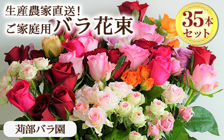 訳あり 生産農家直送!ご家庭用バラ花束35本セット 簡易包装 ※沖縄・離島への配送不可 _AL02