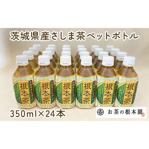 根本茶ペットボトル No.172