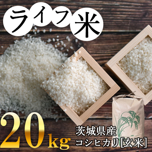 コシヒカリ・玄米 20kg　令和4年産【ライフ米】 No.123