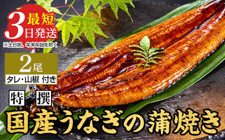 特撰 国産うなぎの蒲焼き 2尾(140g〜150g×2尾)[最短3日発送]