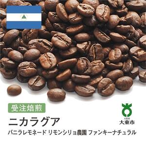 [豆]#157 受注焙煎！310g ニカラグア バニラレモネード リモンシリョ農園 ファンキーナチュラル 珈琲豆 コーヒー豆 自家焙煎