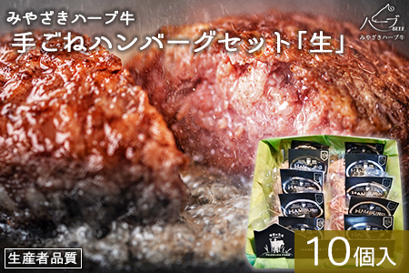 [みやざきハーブ牛 手ごねハンバーグ「生」(140g×10個)]入金確認後、翌月末迄に順次出荷[TVで話題沸騰!][c458_fw_x4]