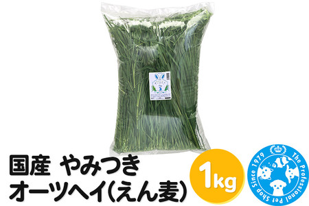 国産 やみつきオーツヘイ(えん麦)1kg