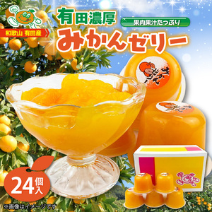 果肉果汁たっぷり有田濃厚みかんゼリー24個入_ZJ6049n