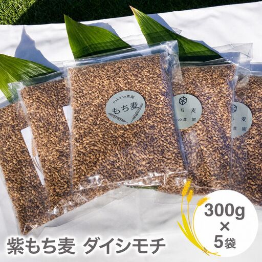 山々と源流の山国町「nakano麦園」の希少な『紫もち麦』ダイシモチ300g×5袋 |  紫もち麦 もち麦 麦 ダイシモチ 紫麦 雑穀 穀物 希少 国産 麦ご飯 1500g 1500グラム 1.5kg 1.5キロ 大分県 中津市