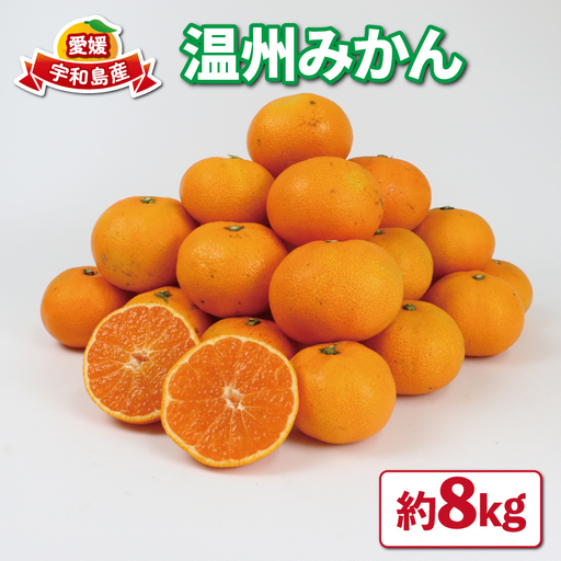 【みかん】温州みかん8kg家庭用平石農園国産宇和島|B010-017008