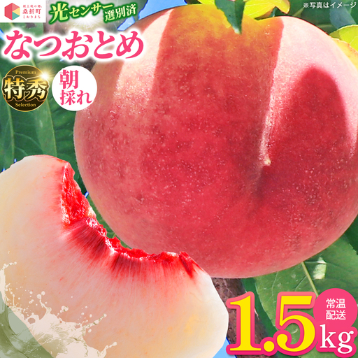 もも【なつおとめ・2026年産】特秀1.5kg　桑折町産　JAふくしま未来　桃　献上桃の郷　【07301-0167】