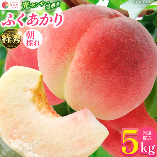 もも【ふくあかり・2027年産先行予約】特秀　5kg　桑折町産　JAふくしま未来　桃 ／ もも モモ 果物 フルーツ 旬 甘い 甘み ジューシー 果肉 果汁 新鮮 フレッシュ デザート おいしい 産地直送 桑折 こおり こおりまち 福島県 特産品 献上桃の郷 【07301-0173】