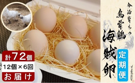 海賊卵[烏骨鶏卵]12個×6回[6か月定期便][VE00840]