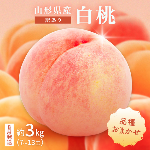 FYN9-731 ≪2027年先行予約≫ ご家庭用 8月発送 山形県産 品種おまかせ 白桃 約3kg(7〜13玉) 2027年8月上旬から順次発送 果物 くだもの フルーツ 桃 もも ピーチ 白桃 はくとう 自宅 家庭 訳あり ワケアリ 支援品 山形県 西川町 月山