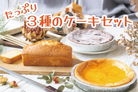 3種ケーキ チーズケーキ ガトーショコラ パウンドケーキ 益子町