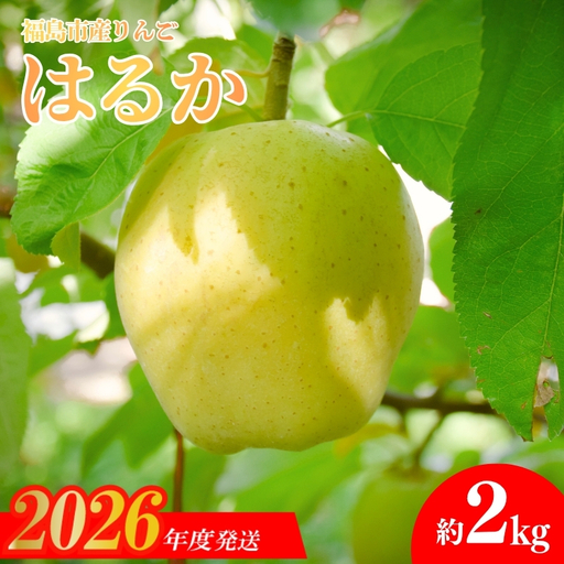 No.2615 りんご「はるか」約2kg[2026年度発送]