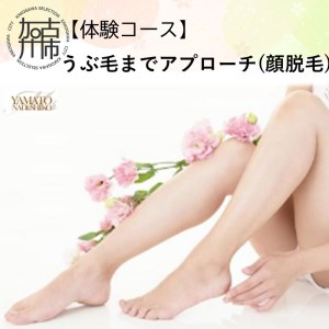 [体験コース]うぶ毛までアプローチ(顔脱毛)[ 美容 脱毛 顔 うぶ毛 体験 女性 ご褒美 贅沢 息抜き ][2500L11803]
