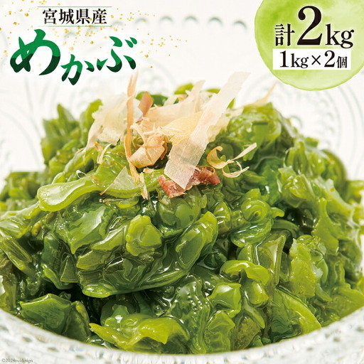 めかぶ 海藻 1kg 2個