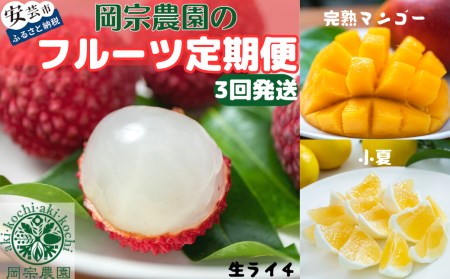 岡宗農園のフルーツ定期便[年3回発送]小夏・マンゴー・ライチ