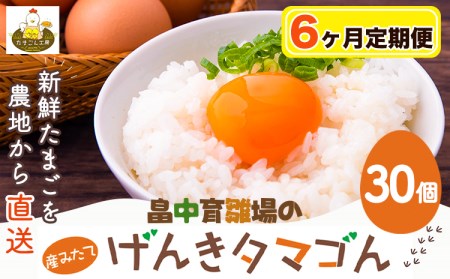 [6ヶ月定期便]畠中育雛場のげんきタマゴん 30個 6回お届けで計180個![お申込み月の翌月から出荷開始]福岡県 卵 有限会社畠中育雛場