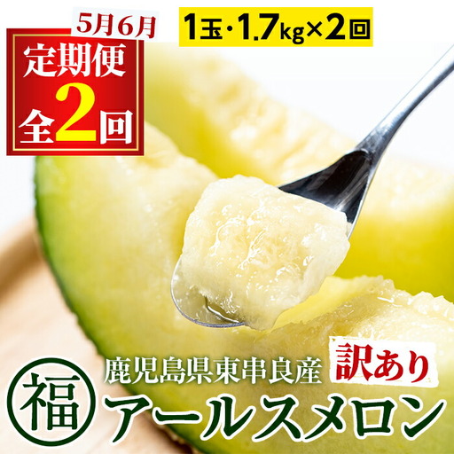 【0221105b】《先行予約受付中！》＜訳あり！定期便・全2回(5月・6月)＞マル福の高級アールスメロン(1玉×2回・計3.4kg)メロン フルーツ 果物 果実 3キロ 数量限定 期間限定【マル福園芸組合】