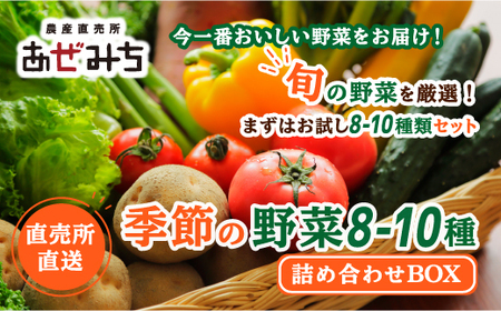 農産直売所あぜみち 新鮮野菜 詰め合わせ[ 野菜 セット 旬の野菜 国産 栃木県 宇都宮市 ]※配送不可地域:離島