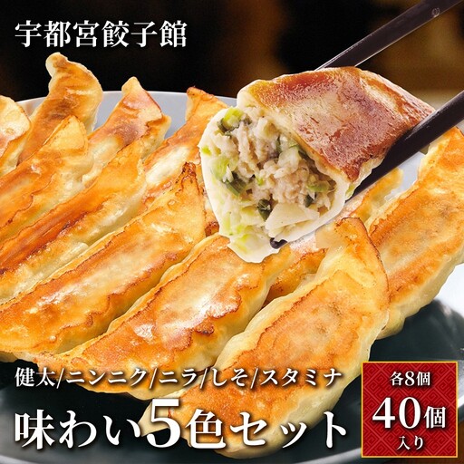 「宇都宮餃子館」味わい5色セット (各8個入り) | 餃子 冷凍 ぎょうざ 食べ比べ 栃木県 宇都宮市