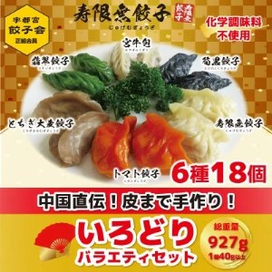 宇都宮餃子 寿限無 餃子のいろどりバラエティセット(6種×各3個・計18個入り) ※離島への配送不可