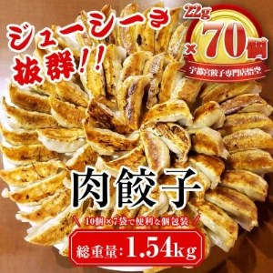 餃子専門店 宇都宮 悟空 肉餃子 22g×70個入